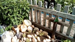 ОБЗОР ДАЧНОГО ДОМИКА И зоны ОТДЫХА,делаю альпийскую горку