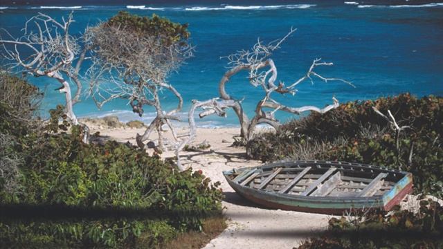 Mazurka in A Minor, No. 1, Op. 59 смотреть онлайн