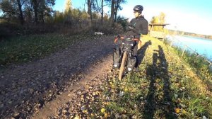 DJI Mini 2 - вторая версия самого безгеморного дрона!