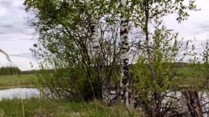 Рыбалка в Талдомском районе