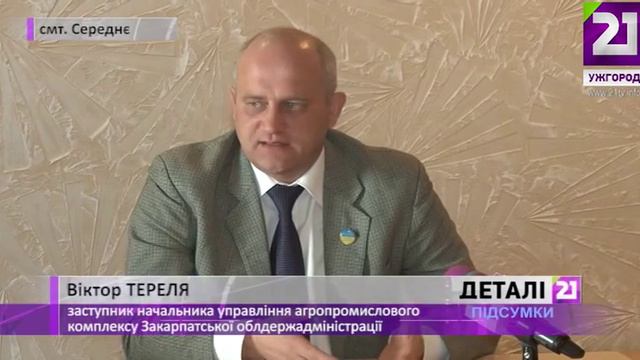Сезон "виноградарства"