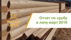 Отчет по срубу в лапу - 6х6м.