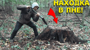 НАХОДКА в СТАРОМ ПНЕ БЫЛА НЕОЖИДАННОЙ! В Поисках Клада от Влада!