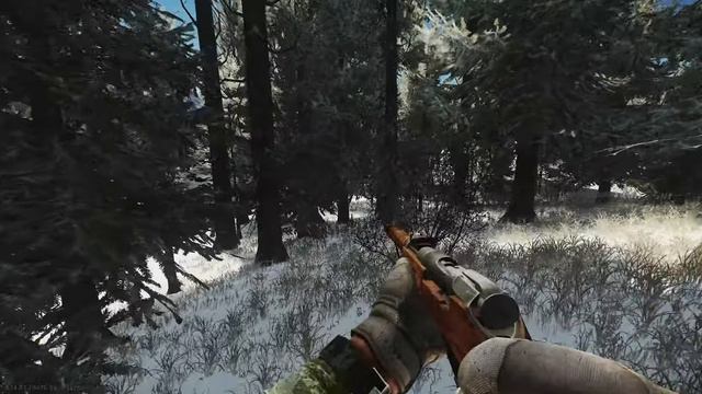 TARKOV _ NOVICHOK | Под(Д)ержите Инвалида (описание) Вебку Надо?) #cs #cs2 смотреть онлайн