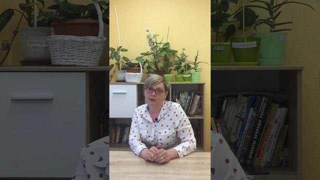 Переходный возраст, что это ?