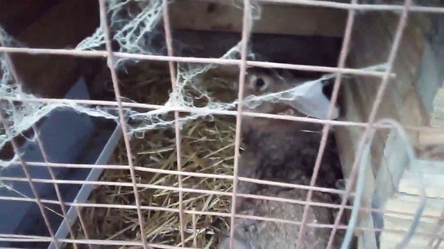 30 октября 2022 г. смотреть онлайн