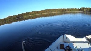 Рыбалка на щуку в Октябре.Швеция.