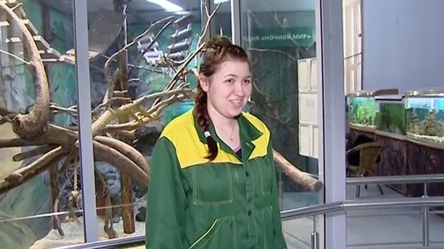 В Ярославском зоопарке детеныш карликовой игрунки учится различать времена года смотреть онлайн