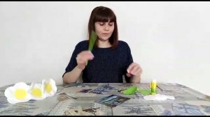 Мастер-класс "Ромашка" из ватных дисков