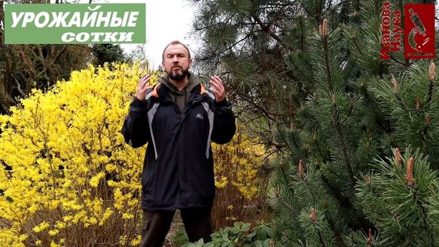 Никогда не используйте ЭТО удобрение для капусты и ещё 11 ПРОСТЫХ правил посадки рассады. смотреть онлайн