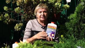 Очистка Дачных Туалетов ✔️ Дачный туалет без запаха