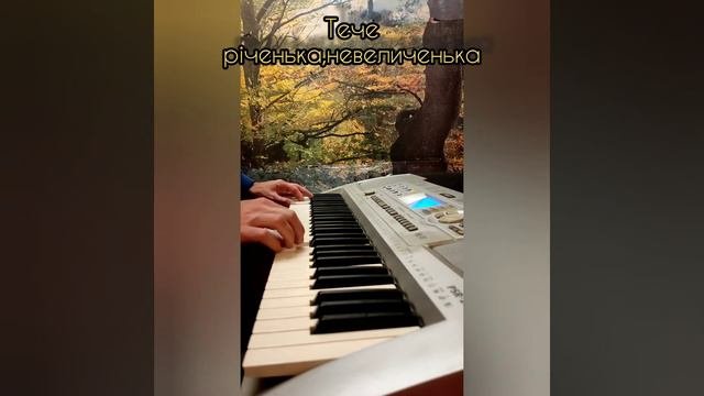 Тече,річенька невеличенька (Медляк) YamahaPSR -290