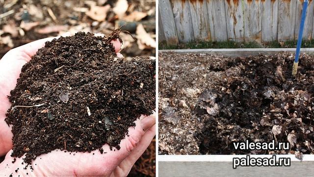 СДЕЛАЙТЕ из ОПАВШЕЙ ЛИСТВЫ УДОБРЕНИЕ! Как сделать удобрение из листьев