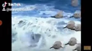 Приключения капитана Врангеля | Начало | RYTP ENTRY