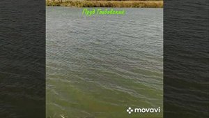 Рыбалка-платник. Пруд Глебовский (с. Гражданское, Ставропольский край)