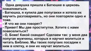 Сосед пришел к Соседу ...! Сборник Самых Смешных и Свежих Анекдотов!