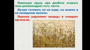 Сахарный диабет 2 типа. Питание при диабете 2 типа Пшенная каша. Диабет питание