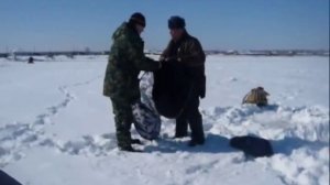 РЖАЧ СМОТРЕТЬ ВСЕМ  мастер класс по сбору палатки