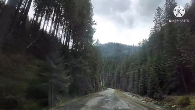 ?Синевир, Синевирська поляна, річка Теребля. Гірські села Закарпаття.⛰
