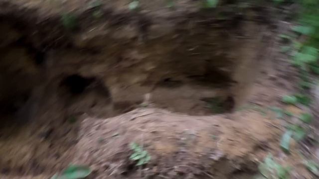 Нашли нетронутые места ВОВ Раскопки!  WW2 Untouched place excavations ENG SUBs
