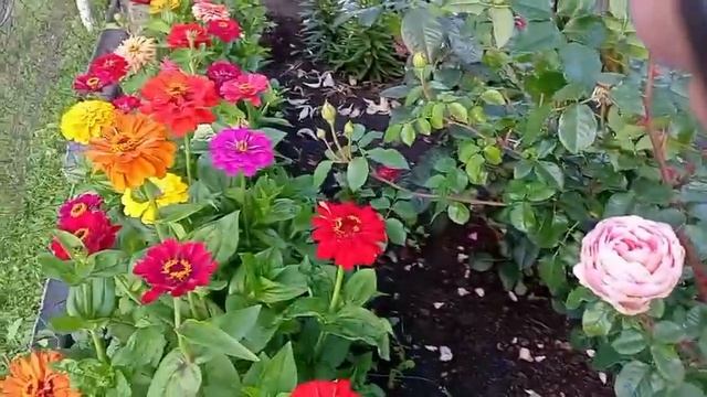 Жизнь в глубинке простых людей. После дождей цветник. смотреть онлайн