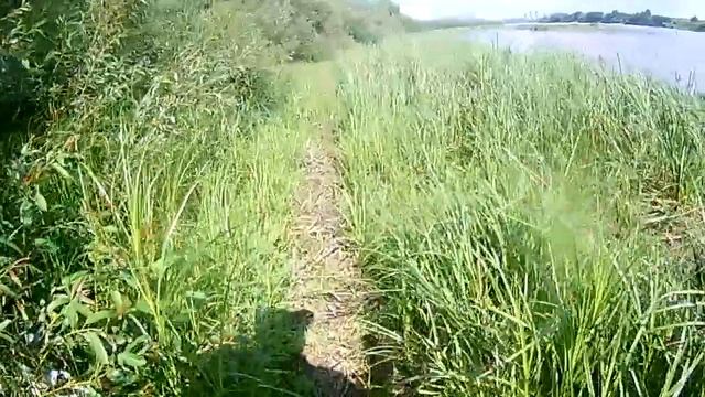 Летняя рыбалка на спиннинг на Оке 2019 смотреть онлайн