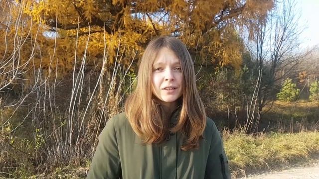Ни о чем не жалейте Андрей Дементьев. Чтение стихов