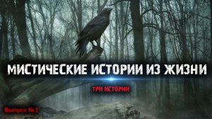 Мистические истории из жизни (3в1) Выпуск №3