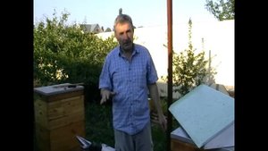 Молодые матки в отводках