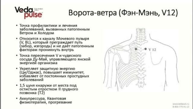 Аюрведа и ТКМ. Пустота энергии Ци/Оджаса