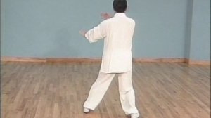 24 формы Тайцзы цюань Полный комплекс - вид сзади. Ч 3