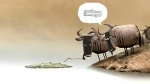 Мультик со смыслом про коров