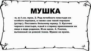 МУШКА - что это такое? значение и описание