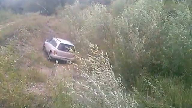 CAM00442 смотреть онлайн