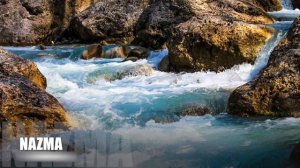 Дидигов Билухьаьжа "Чергазий"