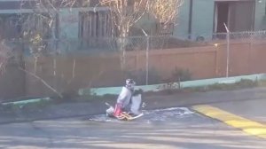 Приколы в хоккее!  Курьезы, голы, юмор  fun in hockey