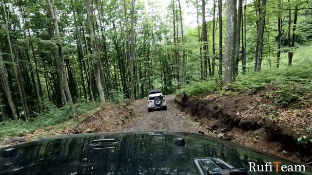 Holidays 2023 Poland - Romania Transalpina Transfăgărășan Bear Maramureș Săpânța Wrangler Vitara смотреть онлайн