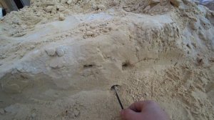 ТЕСТ НА ЗОЛОТО MINELAB X-TERRA 505 КАТУШКА 7.5 КгЦ