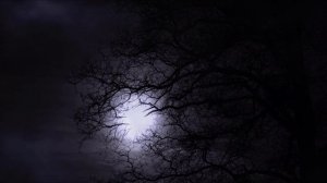 Жуткая байка про вампиров. Читает Владимир Князев. #ужасы #аудиокнига