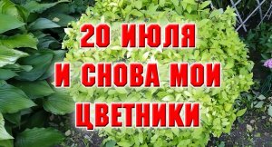 20 июля. И снова цветники.mp4