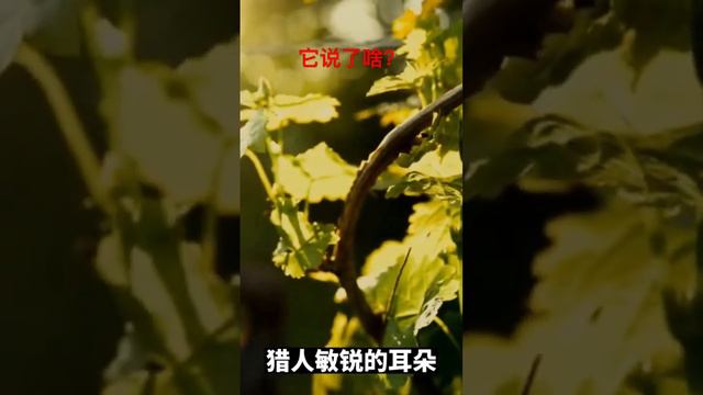 【成人寓言】这种人，活该！猜猜它说了啥？