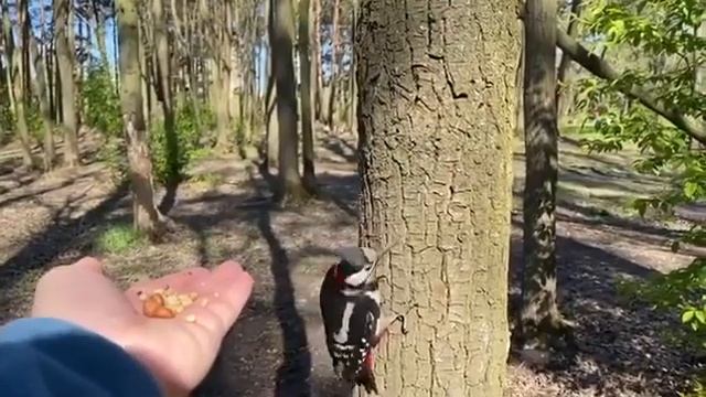 Да не обеднеет рука дающего ✋☺️🍀 смотреть онлайн