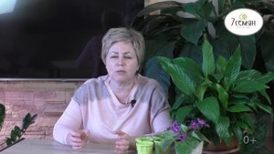 ОБРАБОТКА САДА РАННЕЙ ВЕСНОЙ ОТ БОЛЕЗНЕЙ И ВРЕДИТЕЛЕЙ! НАЧИНАЕМ ПОДГОТОВКУ К СЕЗОНУ!