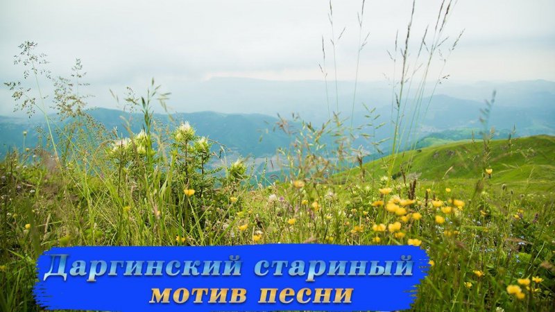 Даргинская песня от Джими