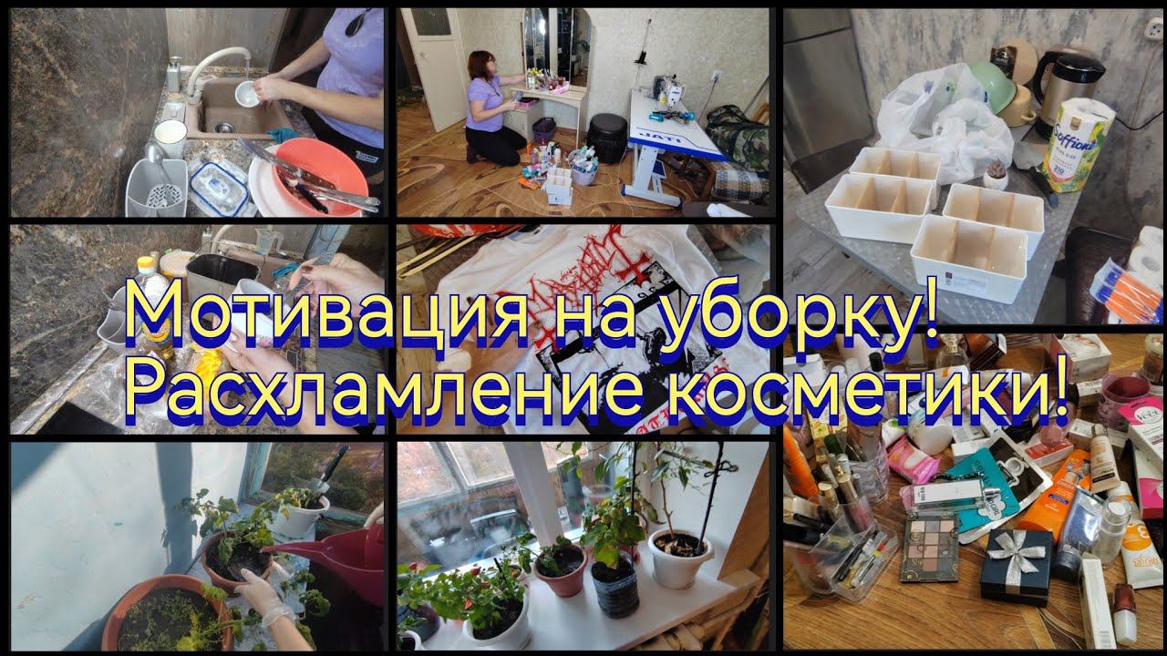 Обзор покупок / Заварной хлеб в хлебопечке / Пересадила помидоры...