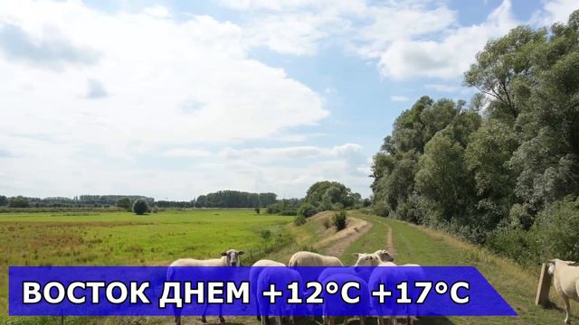ПОГОДА НА 11 СЕНТЯБРЯ : ПОГОДА НА СЕГОДНЯ