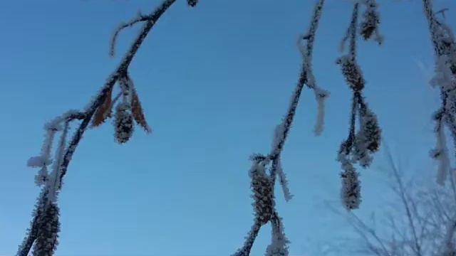 В Павлодар пришла зима))) смотреть онлайн