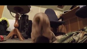 50 оттенков серого  Как снимался фильм 18+  Подписывайтесь