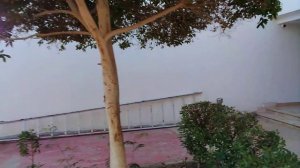 Отель UNI SHARM в Шарм аль Шейхе