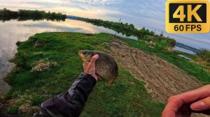 Микроджиг на XESTA Black Star Extra Tuned S64UL-S Semi Automatic